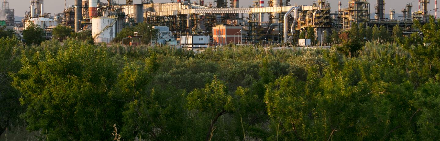 Vista con árboles de la refinería